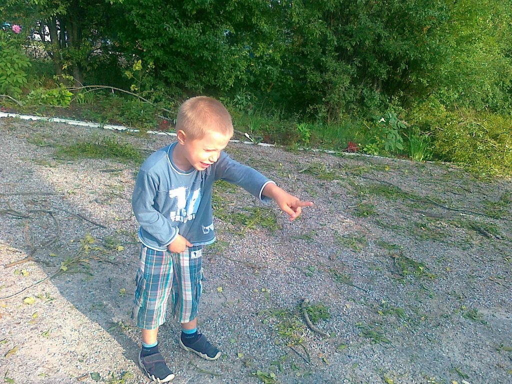 Elixir Tata jedzie .jpg